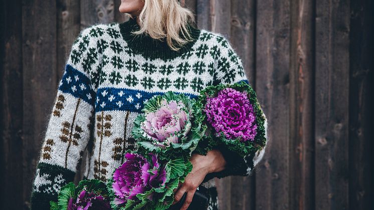 Prydnadskål är en mycket formstark växt som finns i olika färgtoner av vitt, purpur och grönt. Foto: Linda Lomelino