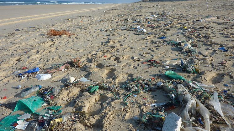 Marin nedskräpning är ett av vår tids största miljöproblem och plast är ett av de vanligaste sortens skräp i haven. FanpLESStic är ett nytt projekt, som ska arbeta med att förebygga och förhindra utsläpp av mikroplaster. Foto: Pixabay