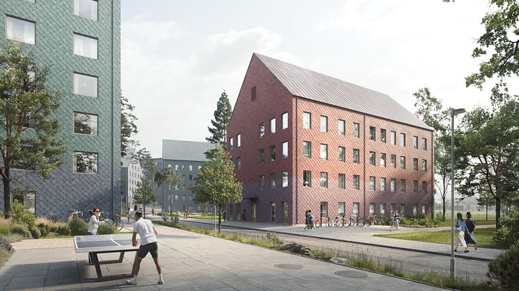 Norra Campusparken, Umeå