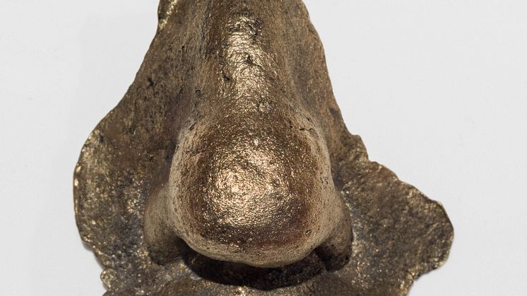 Ann Böttcher. Vater (die Oder-Neiße-Linie), 2020-2021 (detalj/detail)