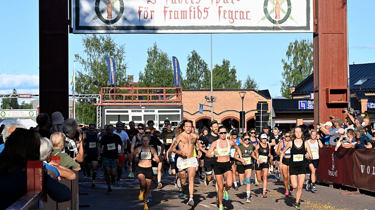 Start Trailvasan 10 2024