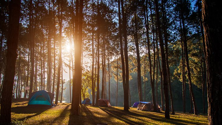 Camping i Søhøjlandet