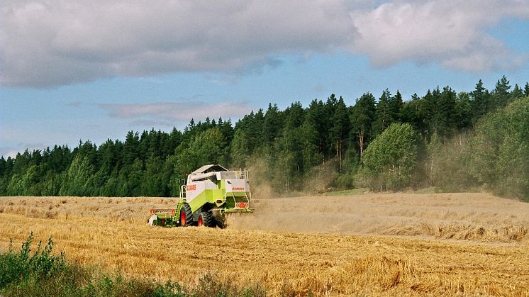 Oroväckande låg kunskap om fosfor 