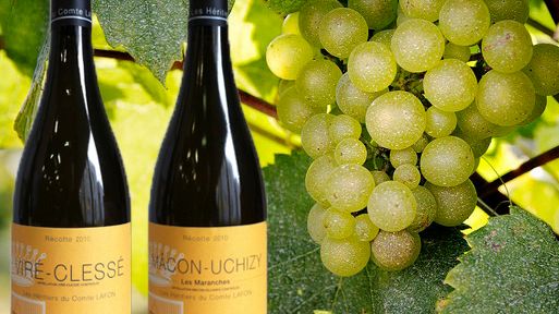 Sverigepremiär för viner från Les Héritiers du Comte Lafon 