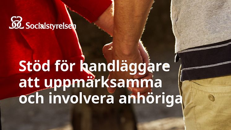 vagledning_655