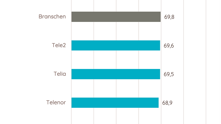 SKI mobil 2024 företagskunder.png