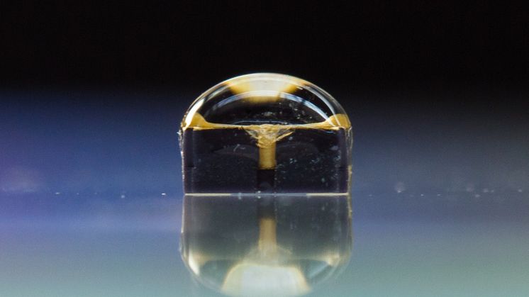 Projektkonsortium um TH Wildau präsentiert Neuentwicklung von LEDMikrolinsen 