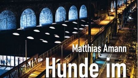 Matthias Amann - Hunde im Weltraum - Erzählungen