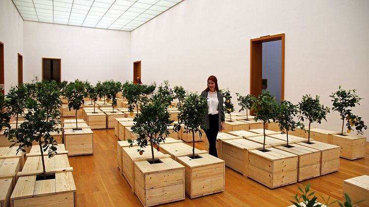 Yoko Ono. PEACE is POWER - Blick in die Ausstellung im Museum der bildenden Künste Leipzig