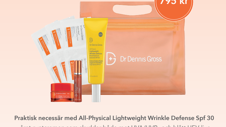 Dr Dennis Gross Lightweight Wrinkle Defense Spf 30.pdf
