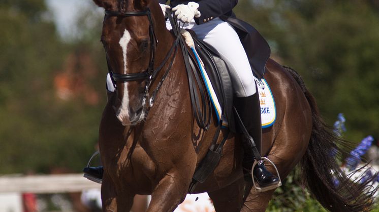 Malmö City Horse Show - i år med 10 dagars hästfest 