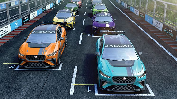 jaguaripaceetrophy20grid01120917