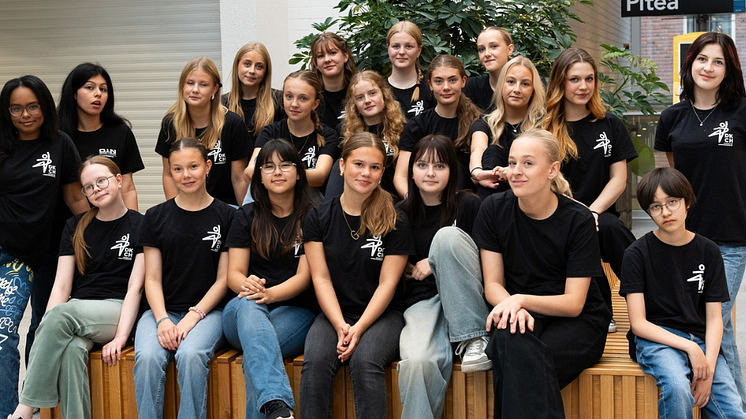 Christinaskolans dansprofil.png