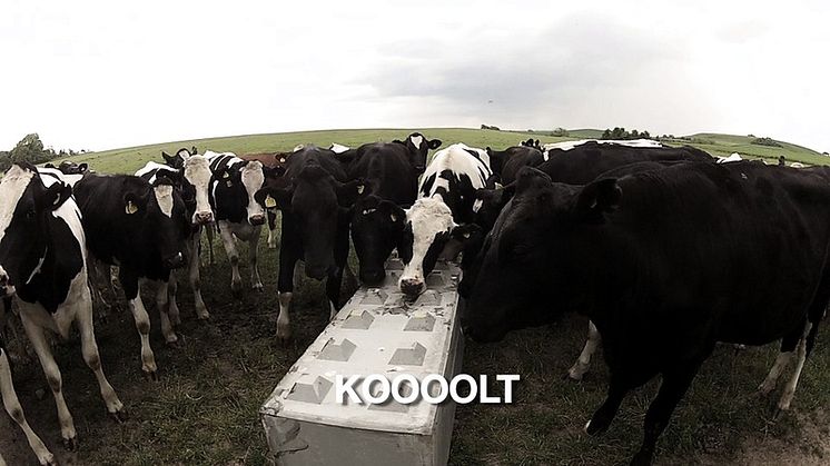 C3C Stödmurar och planlager