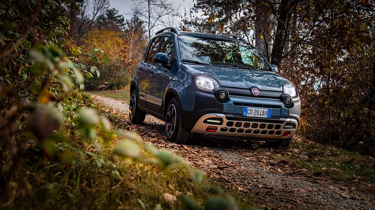 Fiat Panda Cross