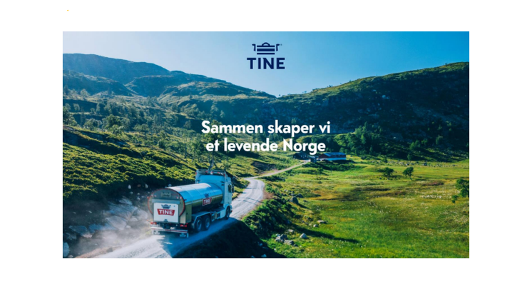 TINE Gruppa 3. tert 2020.pdf