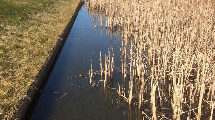 Dagvattenlösning i Bunkeflo, Malmö
