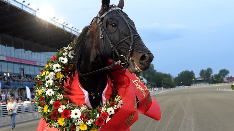 Attraversiamo klar för Elitloppet 2020