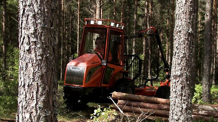 Woodtiger – en tiger för skogen