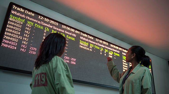 This is why we invest in financial institutions and funds