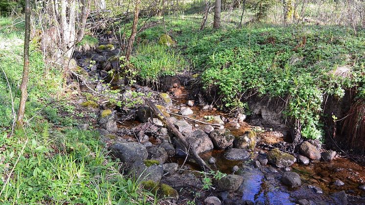 Lurabäcken, vid sjön Viken.