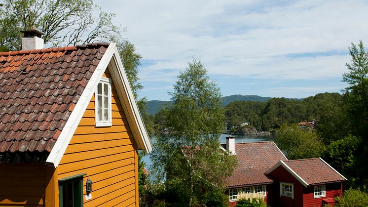 Farvel til soppen