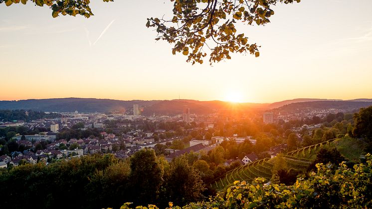 Bäumli Winterthur 