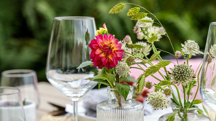 Rusta_S2_2022_Dukat_for_sommerfest_4