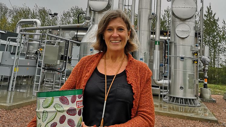 Agneta Påander