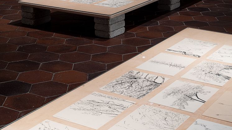 Zheng Bo, Drawing Life, 2020-pågående