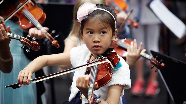 El sistema foto Lee Kerney_web1