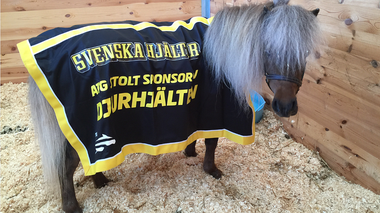 ATG hyllar Sveriges djurhjältar