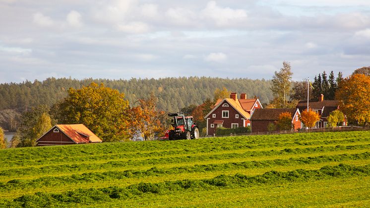 Ny rådgivning ska göra svenskt lantbruk mer hållbart
