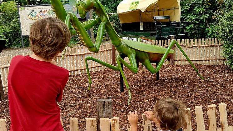 Zoo Leipzig: Sonderausstellung "Winzige Giganten"
