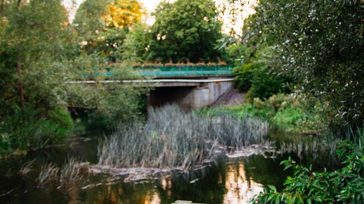 Kävlingeån 2