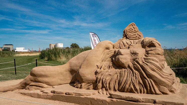 Resting Lion