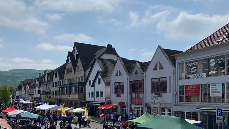 Blütenfest in Beverungen.jpg
