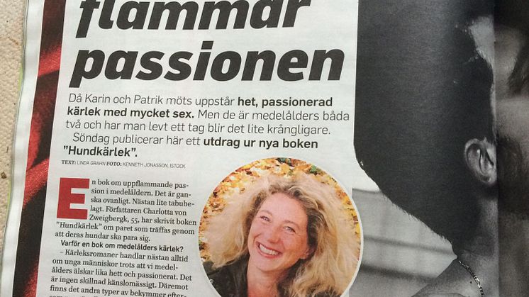 "Båda har levt ett tag, men plötsligt flammar passionen. Då Karin och Patrik möts uppstår het, passionerad kärlek med mycket sex" skriver Expressen
