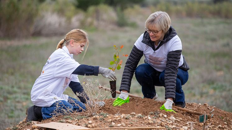 Fastighetsbyrån-skogen växer - bostadsaffärer i Spanien och Portugal klimatkompenseras