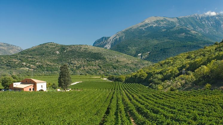 Ekologiska Valle Reale "Botteotto"