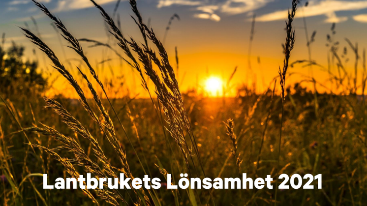 Rapporten Lantbrukets Lönsamhet 2021.pdf