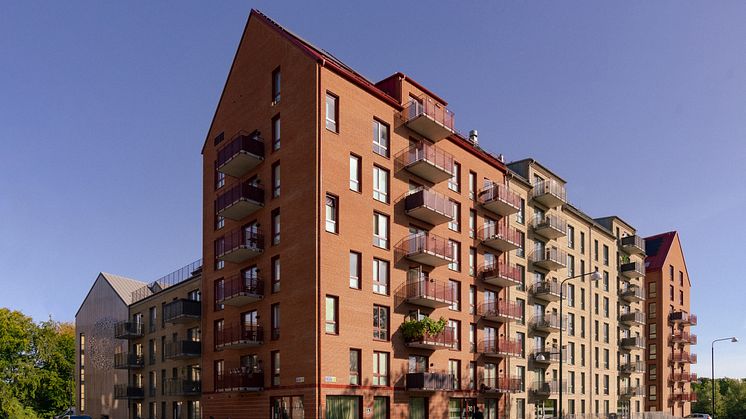 Daggkåpan Foto Emma Karlsmark Elfstrand (1).jpg