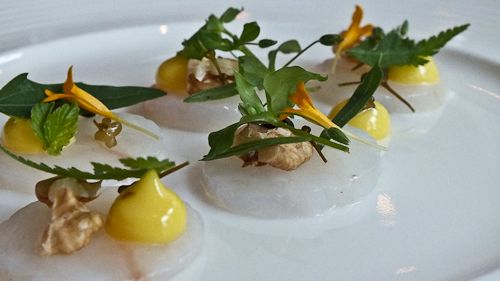 Forret på Frederiksminde hotel