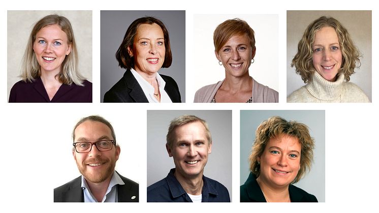 Energikontoren Sveriges styrelse, 2022. Överst från vänster: Malin Strand, Katarina Delsing, Christel Liljegren, Elin Nirjens, Carlos Pettersson, Patrick Dal, Thérèse Hjelseth
