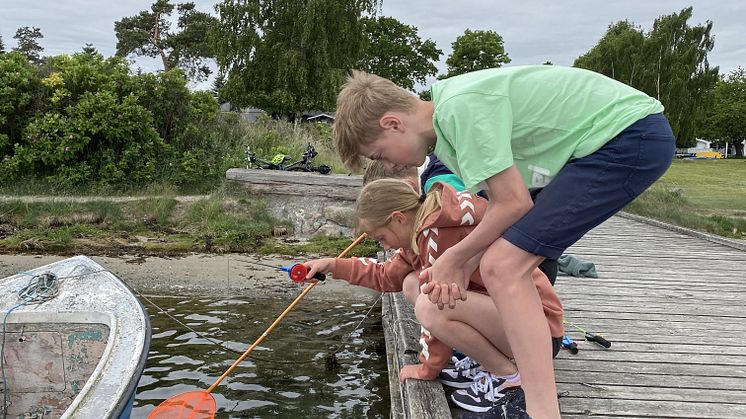 Frida og Albert fanger krabber.jpeg
