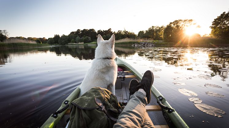 Källa: Doggy AB