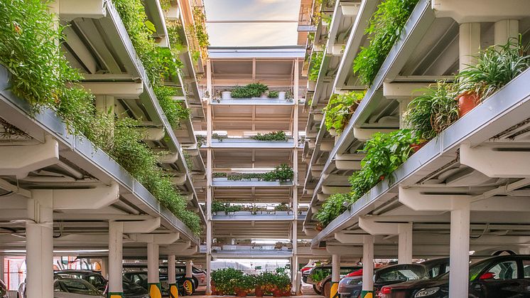 Nytt forskningsprojekt undersöker framtidens urbana odlingar i parkeringshus