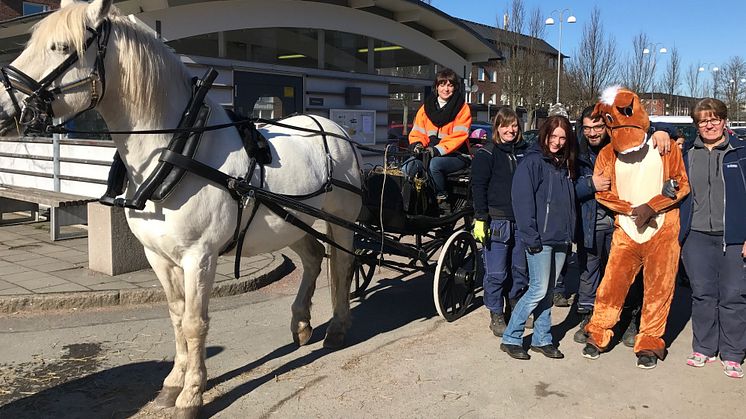 Hästen Groms tillsammans med skötare och Bostadsbolagets personal. Medverkar gör även den klappvänliga hästen Broms.