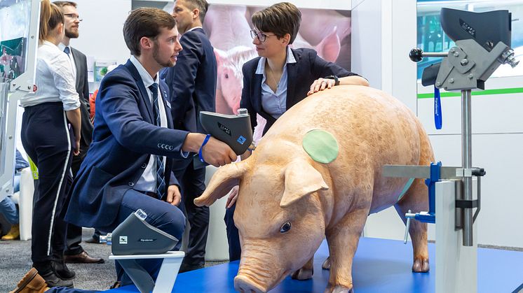 11. Leipziger Tierärztekongress 2022 