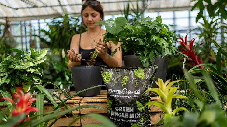 Ideal für trendige Zimmerpflanzen: der neue Floragard Green Jungle Mix auf mineralischer Basis.